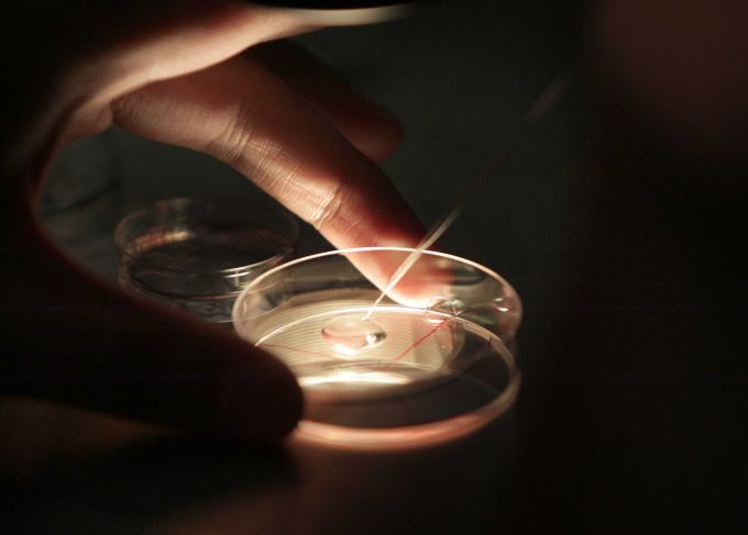 生殖可以做借卵供卵试管婴儿-福州哪里可以做借卵供卵试管婴儿