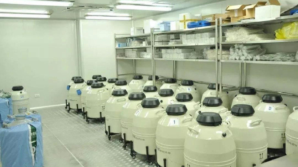 供卵生子代怀试管供卵试管助孕做供卵代怀试管供卵移植是什么感觉？