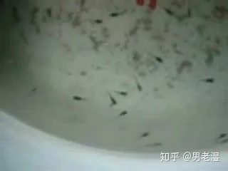 CCRM生殖医学中心供卵做私立供卵试管流程注意事项