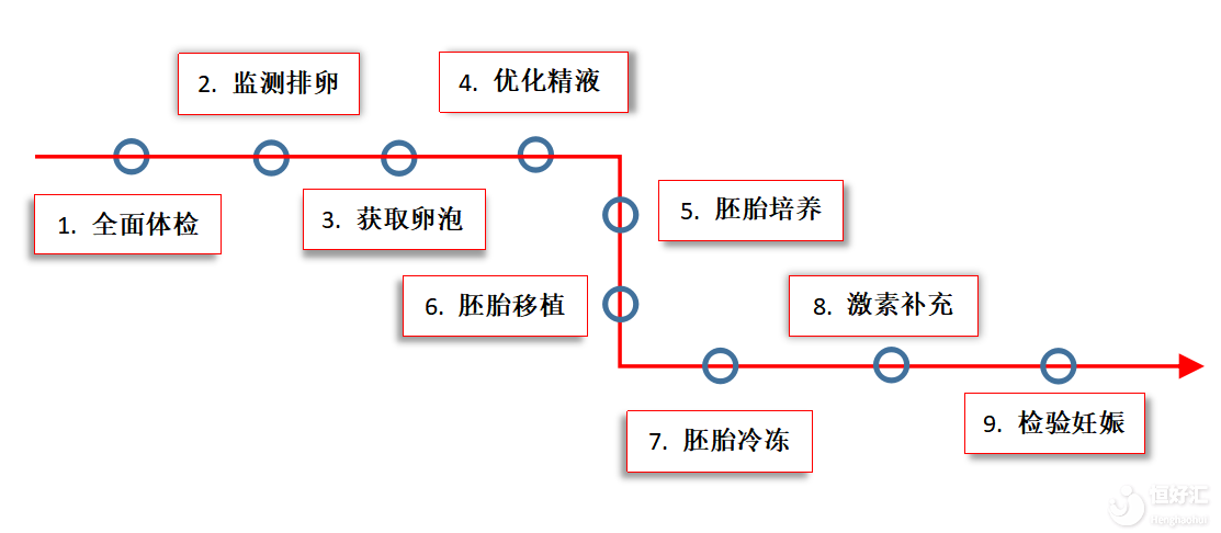 借卵子做供卵助孕供卵试管行吗