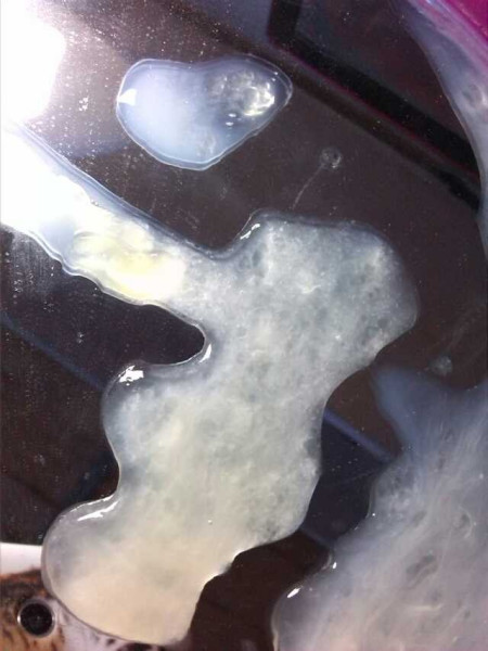 云大医院做借卵试管怎么样