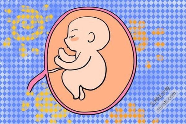 广医三院做试管婴儿贵不贵2023下半年费用已公布!