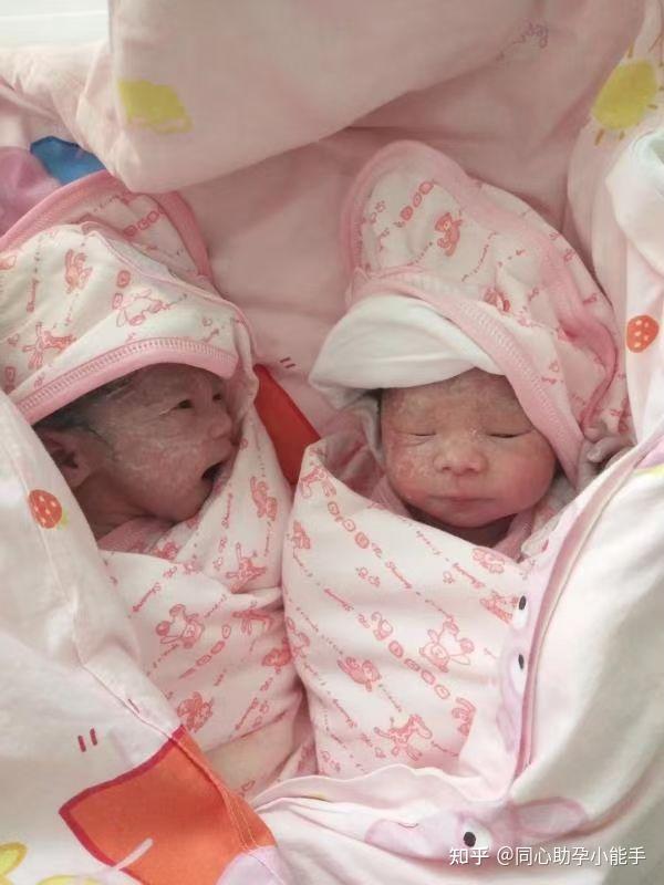 福州福州市供卵试管代怀的女人生二胎补助多少钱？