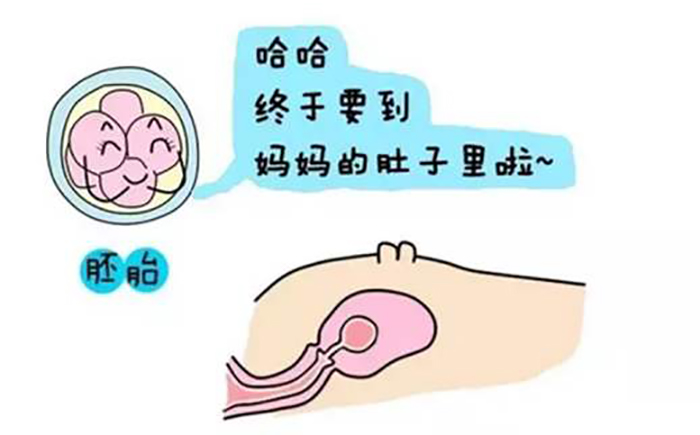 全世界试管代怀费用多少费用技术最先进的国家是哪个