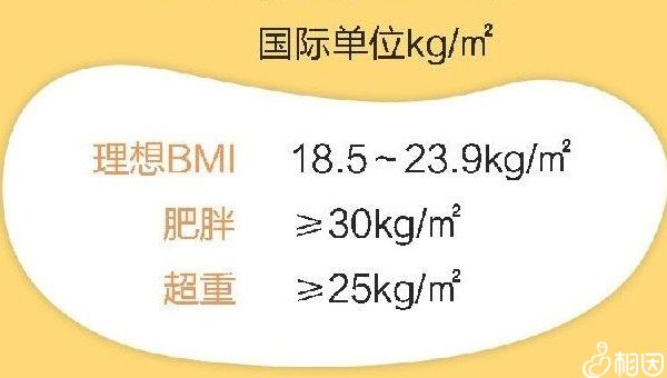哈医大试管代怀的操作方式多少钱费用各有不同