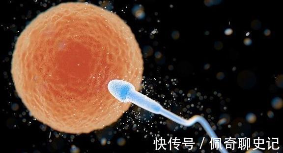 国内代生公司费用多少钱（第三代价格贵吗？）