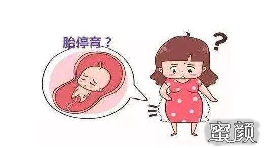 试管代怀成功率多大一次没成功第二次多少钱