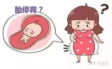 福州妇幼保健院合法试管代怀国家一次成功的几率有多大