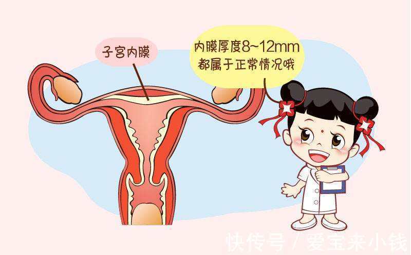 怎么找精子库生孩子+拉拉怎么生孩子