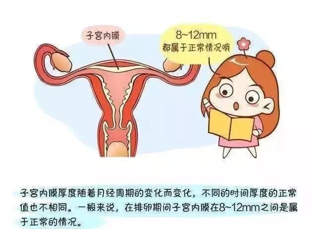 福建镜湖找个试管代怀的女孩