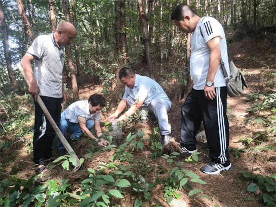福州试管代怀电话医院排名