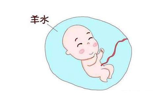 福州福州精子库位置