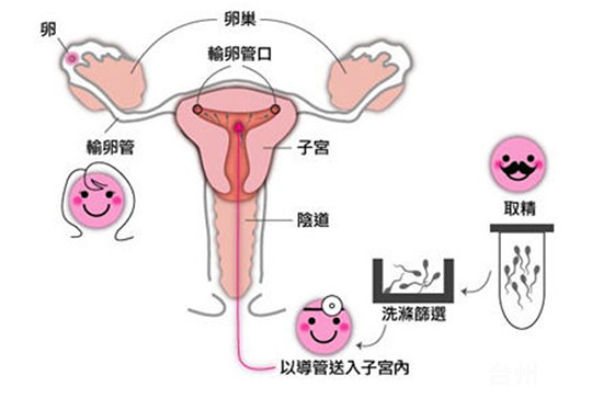 最适合孕妇吃的6种水果一览表有助胎儿发育的~
